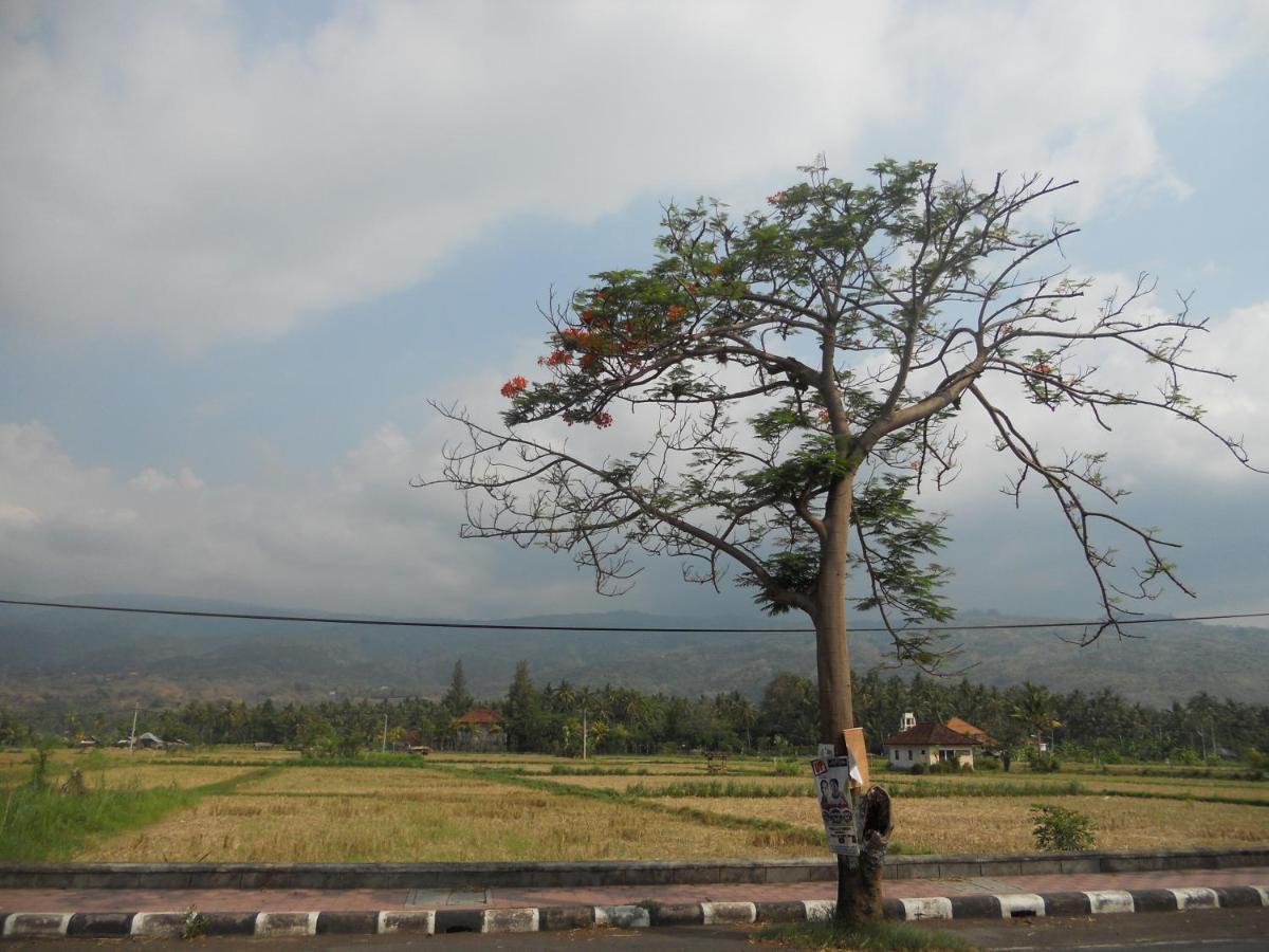 Bali Lovina Beach Cottages Pabean Buleleng Exterior foto
